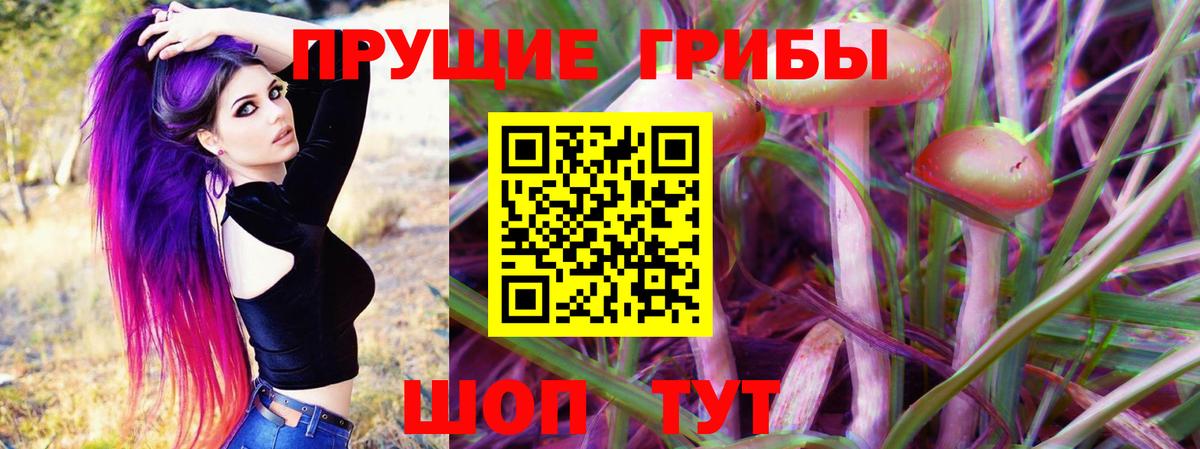 Аргун  Псилоцибиновые грибы прущие грибы  Вход с VPN 